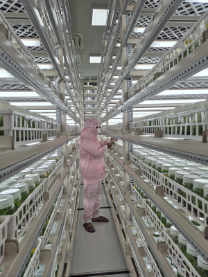 Tissue Culture Lab 1